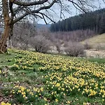 펜션 Urlaub Am Schwarzbach Mit Sauna Und Whilpool