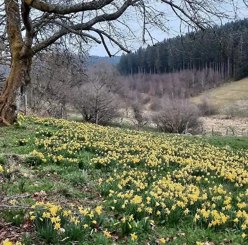 Hébergement de vacances Urlaub Am Schwarzbach Mit Sauna Und Whilpool